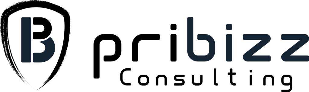 pribizz logo full